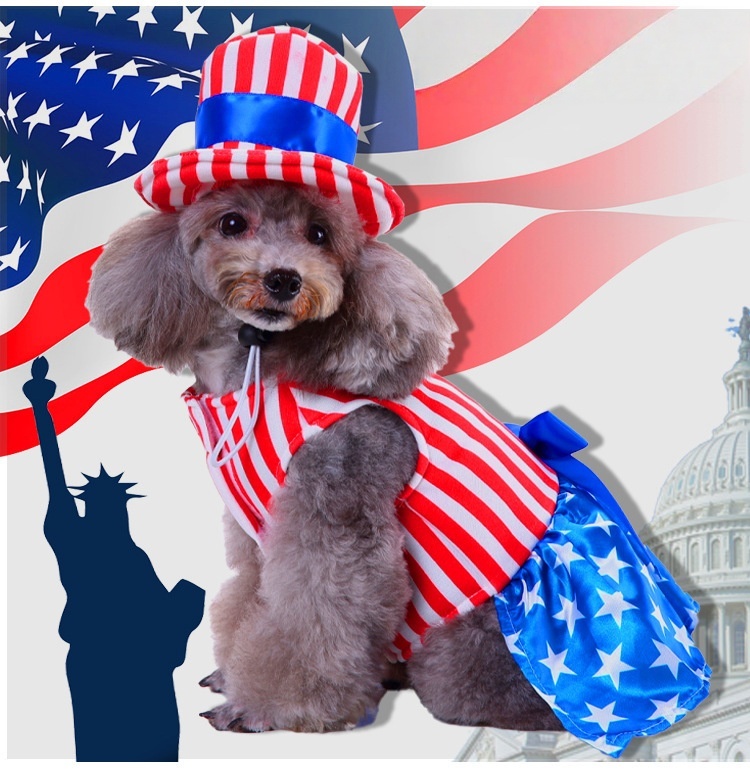 Patriotic Pet Costume With American Flag Design Include Top Hat